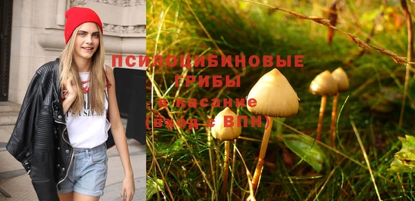 экстази Алзамай