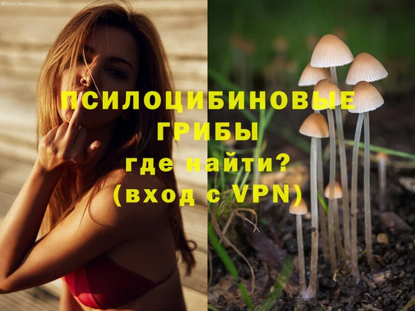 экстази Алзамай